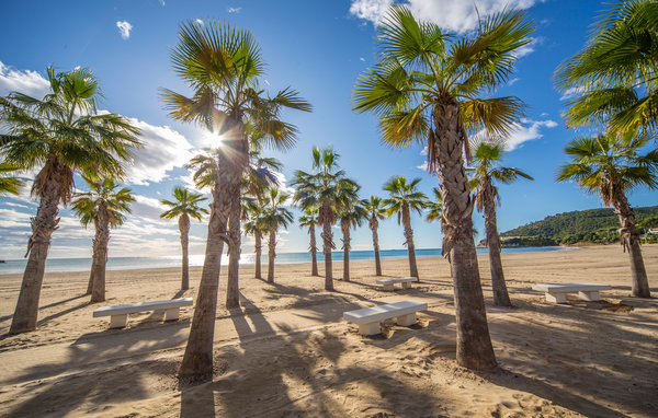 Apartamento - Playa La Concha , España - EBA320 905