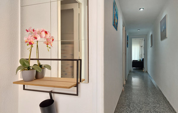 Apartament - Oropesa del Mar , Hiszpania - EBA355 501
