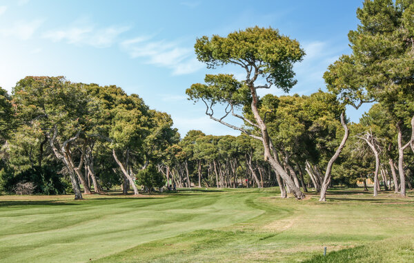 Appartamento - Castellón de la Plana , Spagna - EBA423 903