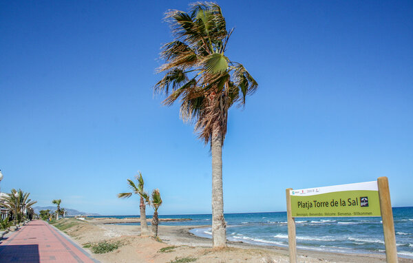 Appartement - Torrelasal , Espagne - EBA431 904