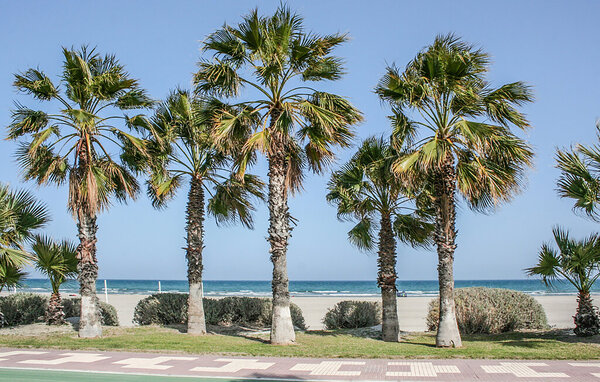 Ferienhaus - Castellón de la Plana , Spanien - EBA449 905