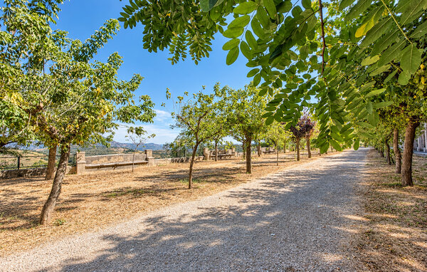Apartment - Benasal , Spain - EBA450 102