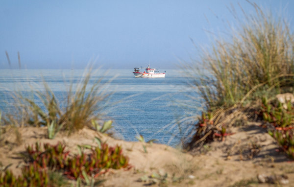 Vakantiehuis 
