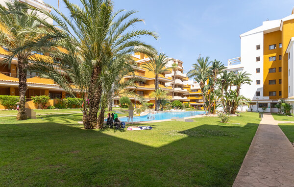 Apartment - Torrevieja , Spain - EBC256 9