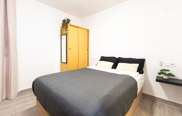 Apartment - Torrevieja , Spain - EBC306 603