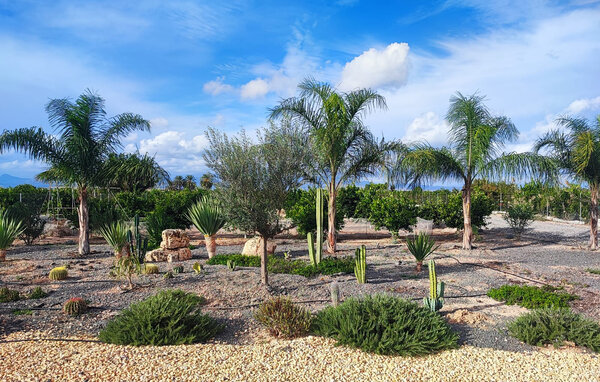 Semesterhus - Almoradi-Guardamar del Segura , Spanien - EBC314 902