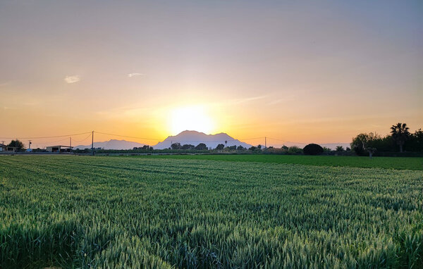 Semesterhus - Almoradi-Guardamar del Segura , Spanien - EBC314 903