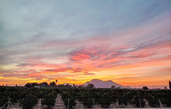 Semesterhus - Almoradi-Guardamar del Segura , Spanien - EBC314 904