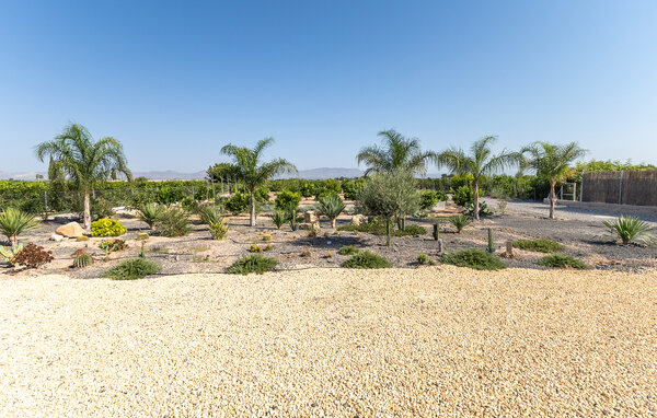 Semesterhus - Almoradi-Guardamar del Segura , Spanien - EBC314 105