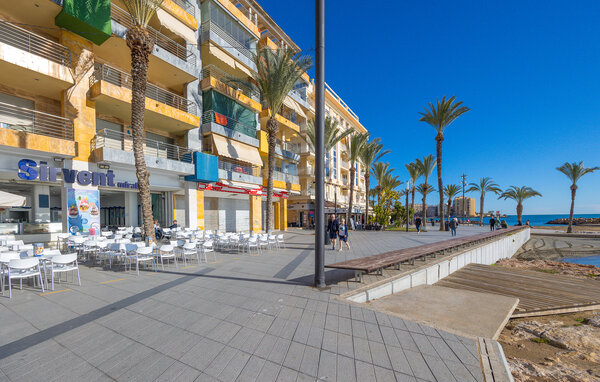 Apartment - Torrevieja , Spain - EBC335 81