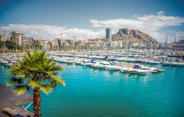 Apartament - Alicante , Hiszpania - EBC336 904