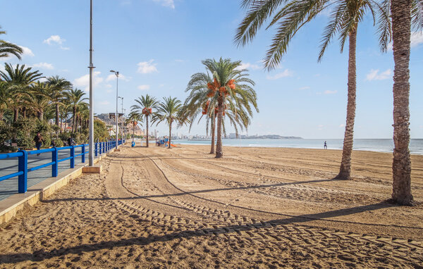 Apartament - Alicante , Hiszpania - EBC337 7