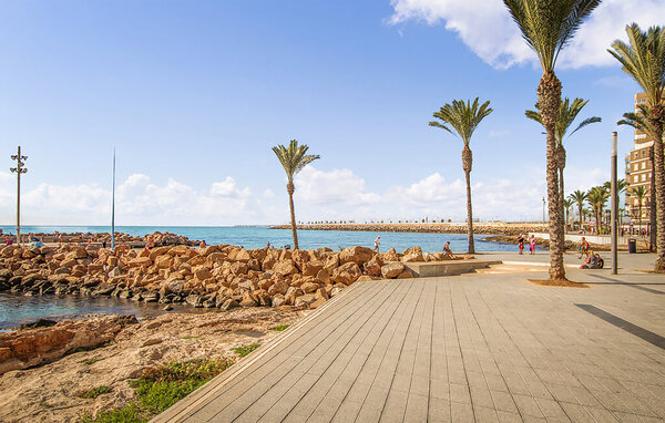 Appartement - Torrevieja , Spanje - EBC446 902