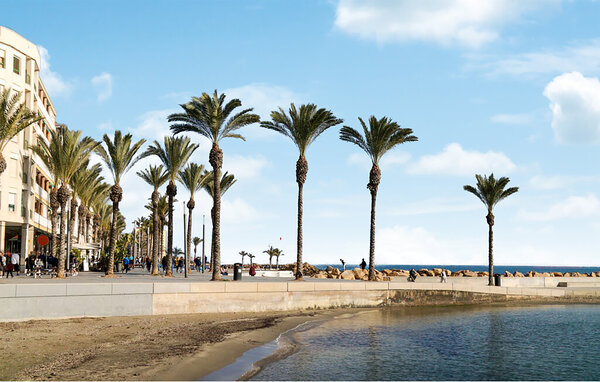 Appartement - Torrevieja , Spanje - EBC446 903