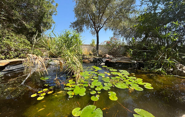 Feriehus - Alicante , Spanien - EBC451 104