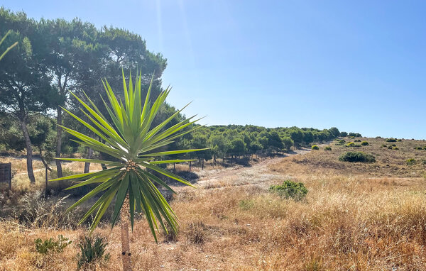 Ferienwohnung - El Chaparral , Spanien - EBI479 906