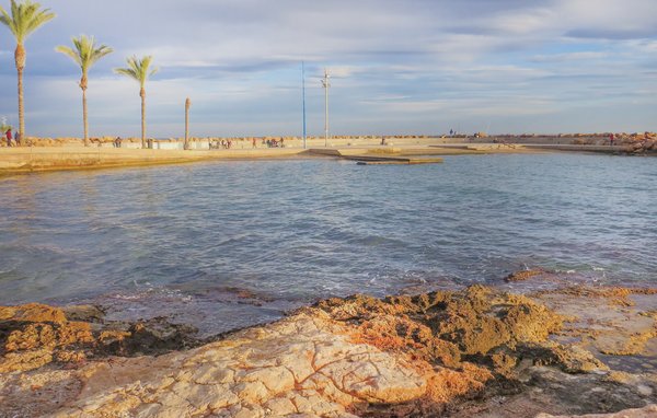 Ferienwohnung - Torrevieja , Spanien - EBL495 902