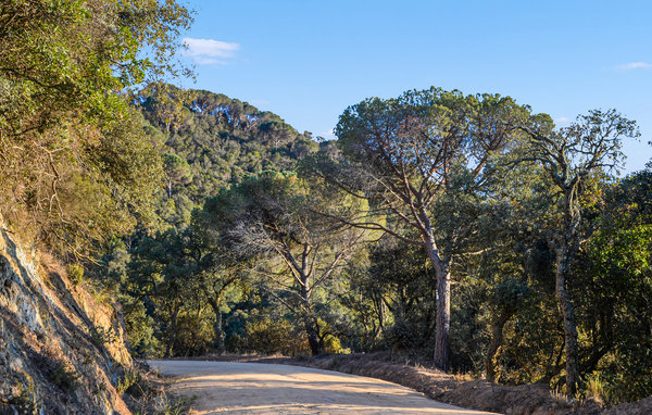 Feriehuse - Sant Cebrià de Vallalta , Spanien - EBN473 107
