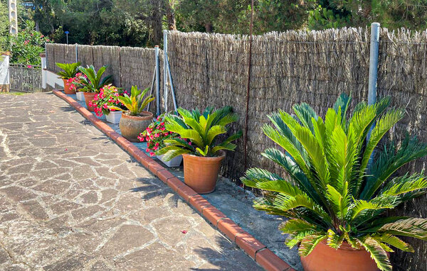 Casa di vacanze 