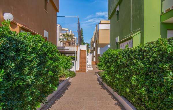Apartment - Xeraco , Spain - EBV209 902
