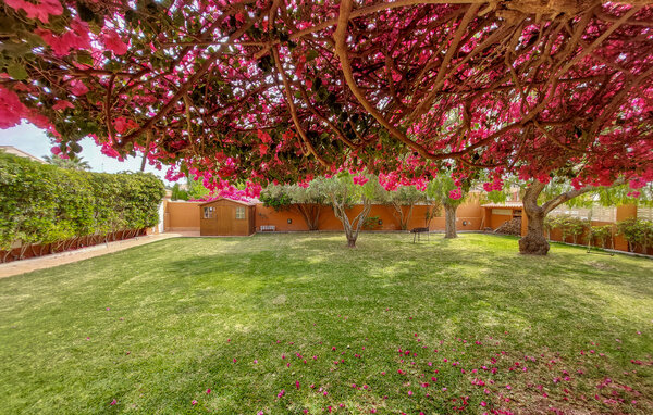 Semesterhus - Sagunto-Almardà , Spanien - EBV231 104