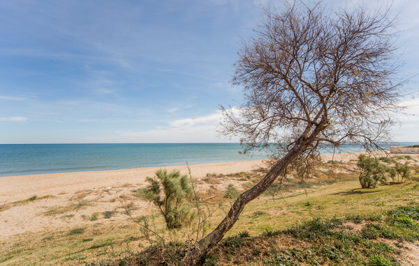 Apartamento - Tavernes de la Valldigna , España - EBV260 901