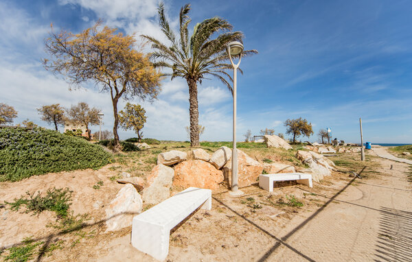 Apartamento - Tavernes de la Valldigna , España - EBV260 906