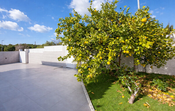 Ferienhaus - Valencia,Olocau , Spanien - EBV262 106