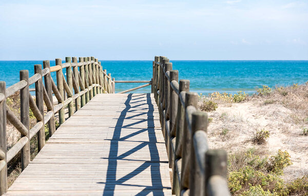 Appartement - Gandía Playa , Spanje - EBV263 8