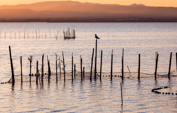 Apartamento - El Saler , España - EBV269 905