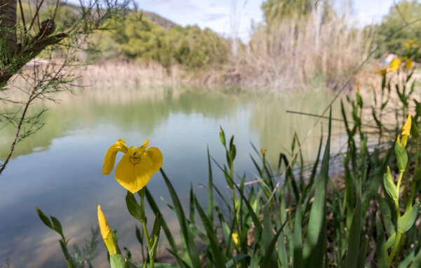 Ferienhaus - Villamarchante , Spanien - EBV270 902