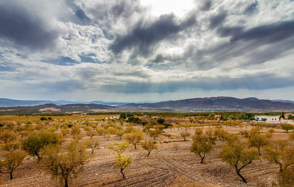 Semesterhus - Jumilla , Spanien - ECM138 901