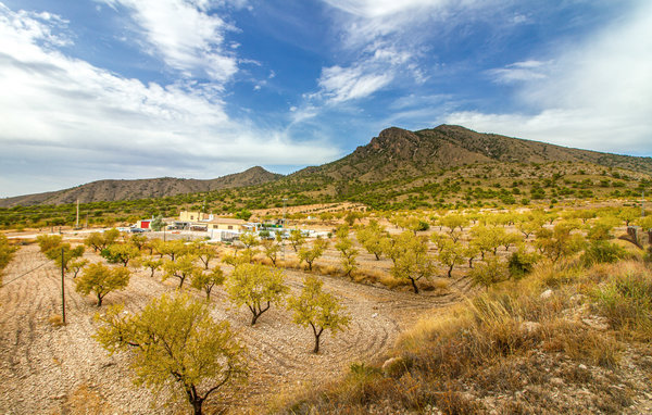 Semesterhus - Jumilla , Spanien - ECM138 902