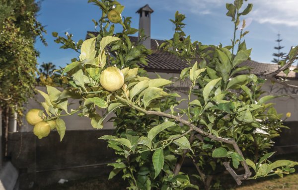 Maison Roc de San Gaietà