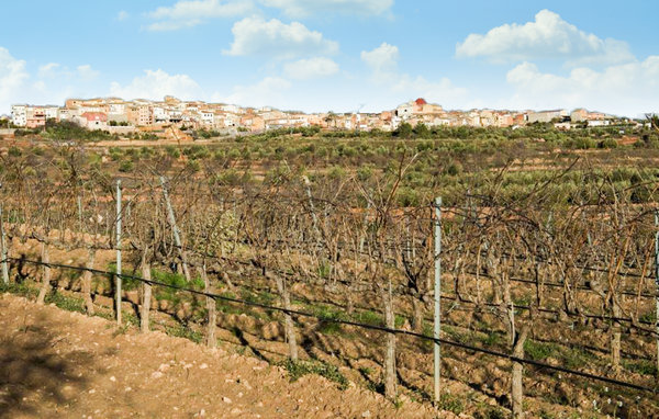 Domy wakacyjne - El Masroig , Hiszpania - EDO654 202