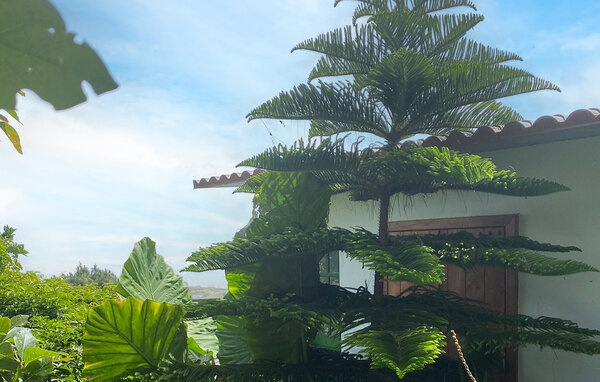 Ferienhaus - Las Palmas de Gran Canaria , Spanien - EGR293 83