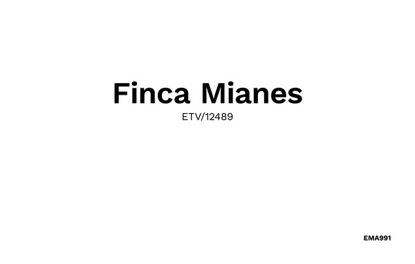 Semesterhus Finca Mianes