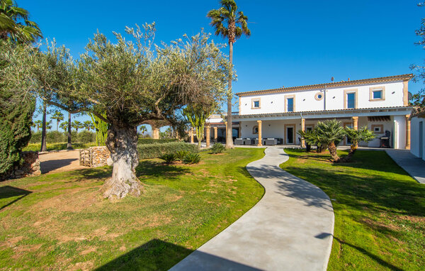 Ferienhaus - Matias, Santa Margalida , Spanien - EMF005 87