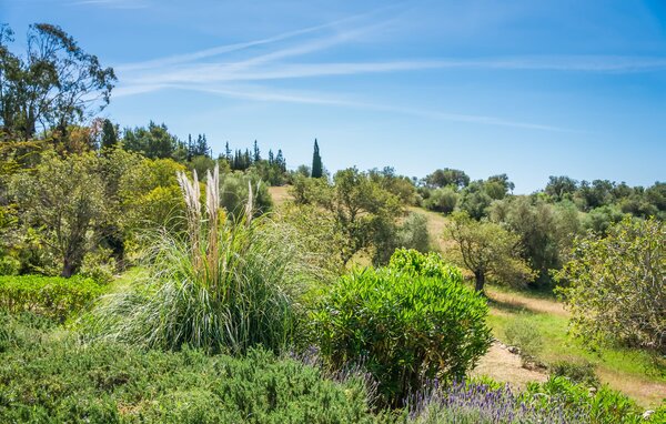Holiday Home - La Talayeta, Arta , Spain - EMF044 111