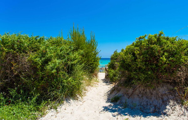 Kuća-za-odmor - Sa Platja, Playa de Muro , Spanjolska - EMF082 110