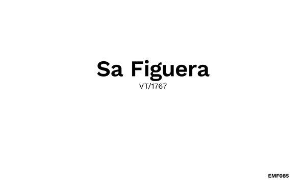 Vacation home Sa Figuera