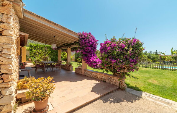 Domy wakacyjne - Padre, Son Servera , Hiszpania - EMF093 104