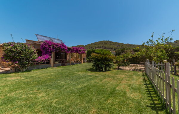 Domy wakacyjne - Padre, Son Servera , Hiszpania - EMF093 107