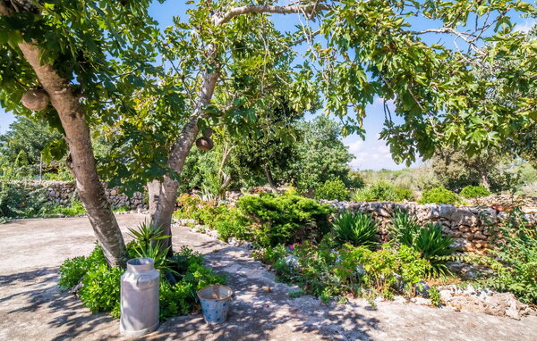 Semesterhus - Es Campets, Sencelles , Spanien - EMF124 108