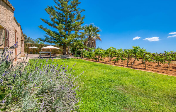 Ferienhaus - Sa Grua, Sant Llorenc , Spanien - EMF167 7