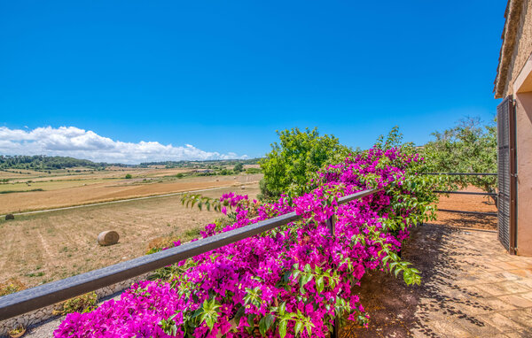 Ferienhaus - Sa Grua, Sant Llorenc , Spanien - EMF167 201