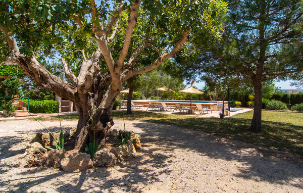 Holiday Home - Els Girasols, Campos , Spain - EMF175 106