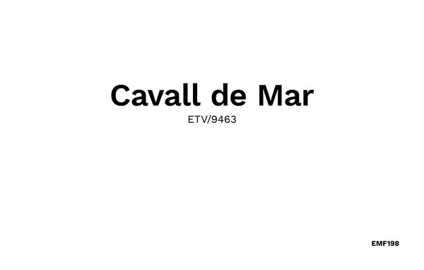Casa de vacaciones - Cavall de Mar, Sant Llorenc , España - EMF198 901