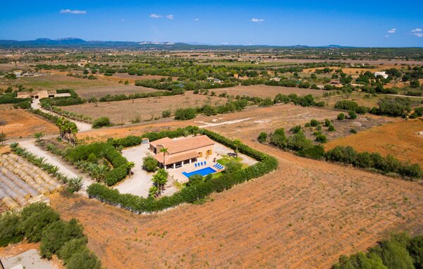 Ferienhaus - Sa Vinya Gran, Campos , Spanien - EMF243 84