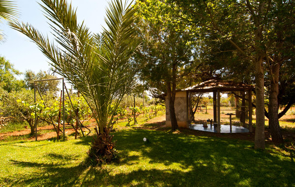 Holiday Home - Can Lopez Vara, Campos , Spain - EMF255 109